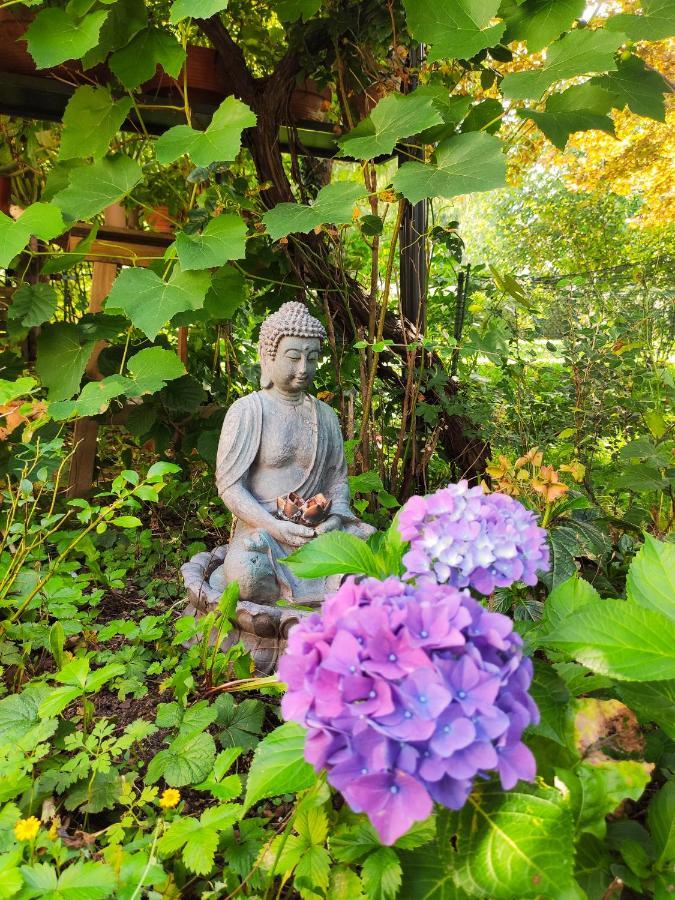 Habitación en casa particular Modernes Am Park Mit Garten, Hühner&enten Múnich